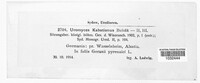 Uromyces geranii image